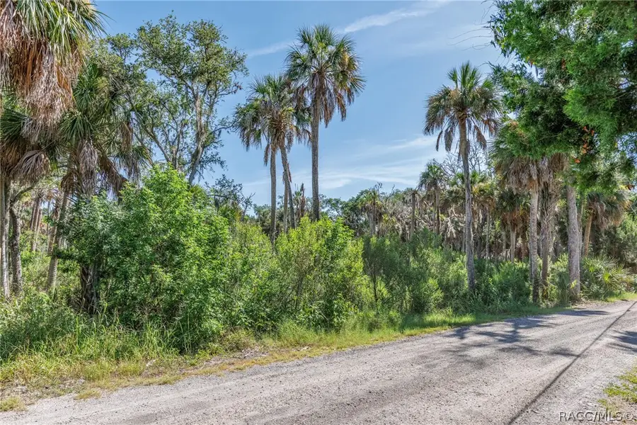 12207 W Gulf Breeze Court, Crystal River, FL 34429 - #3