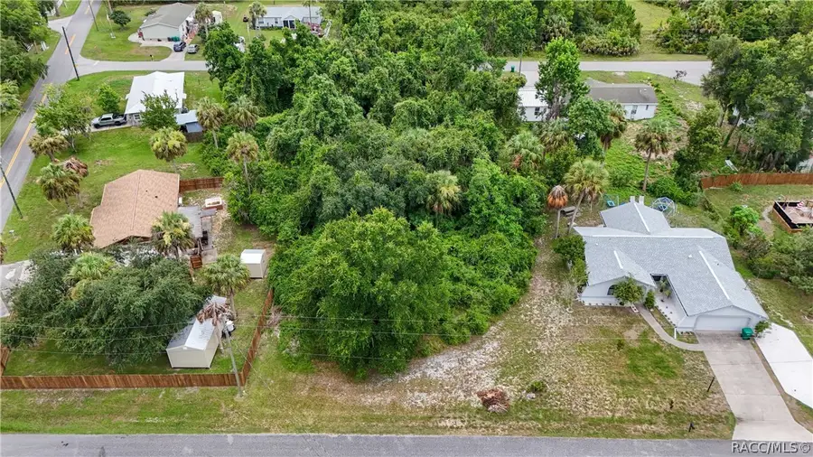 8458 W Buckwood Court, Homosassa, FL 34448 - #3