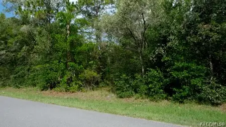 10554 N Haitian Drive, Citrus Springs, FL 34434 - #1