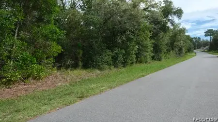 10554 N Haitian Drive, Citrus Springs, FL 34434 - #2