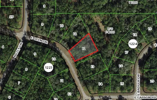 1455 E Odin Drive, Dunnellon, FL 34434