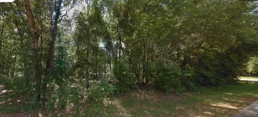 6856 E Red Robin Lane, Inverness, FL 34452 - #3