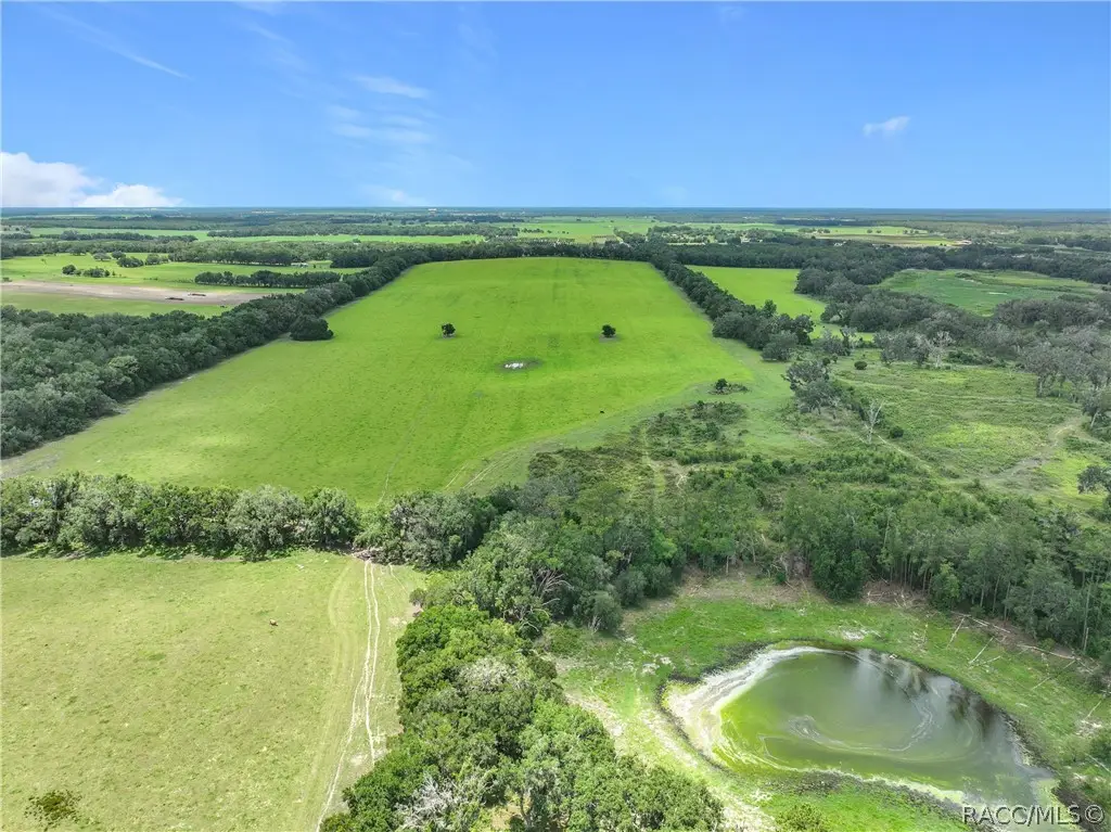 7352 SE 175th Avenue, Morriston, FL 32668 - #1
