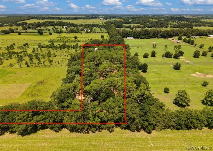 20535 SW 5th Place, Dunnellon, FL 34431 - #3