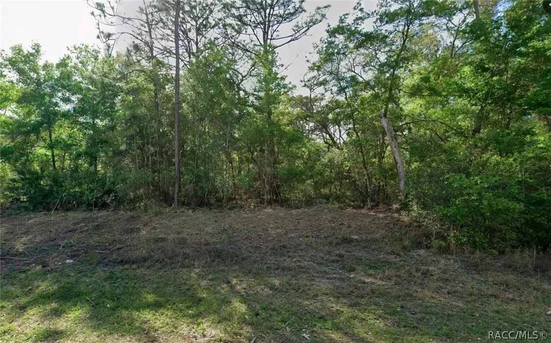 10830 N Hatari Drive, Citrus Springs, FL 34434 - #1