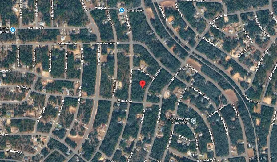 10830 N Hatari Drive, Citrus Springs, FL 34434 - #2
