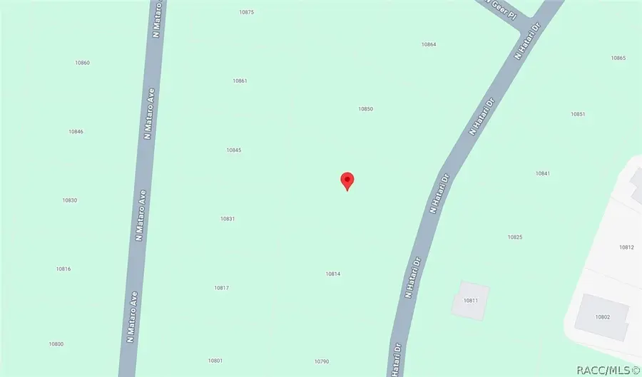 10830 N Hatari Drive, Citrus Springs, FL 34434 - #3