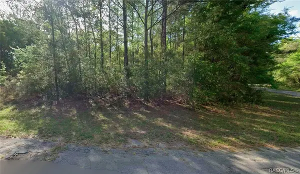 8961 N Conch Terrace, Dunnellon, FL 34434
