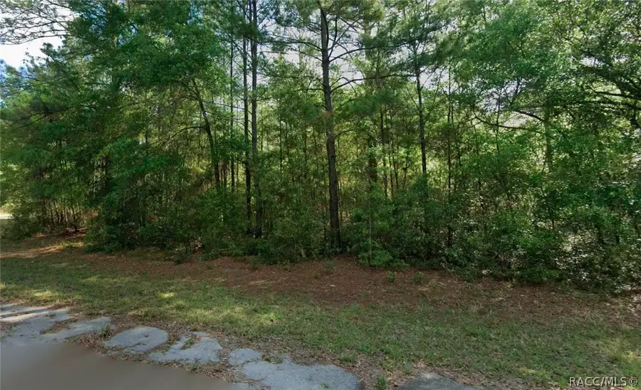 8961 N Conch Terrace, Dunnellon, FL 34434 - #2