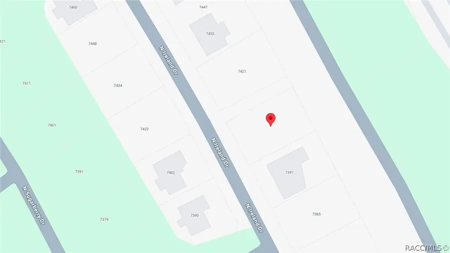 7409 N Ireland Drive, Citrus Springs, FL 34434 - #3