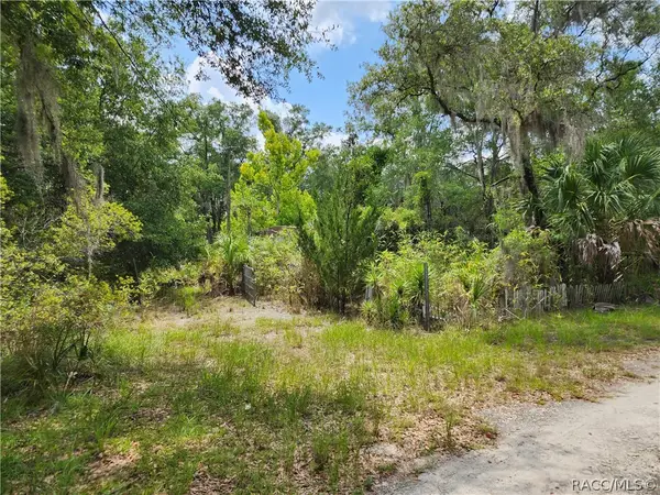 11335 N Ginny Lane Point, Inglis, FL 34449