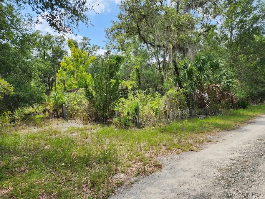 11335 N Ginny Lane Point, Inglis, FL 34449 - #2