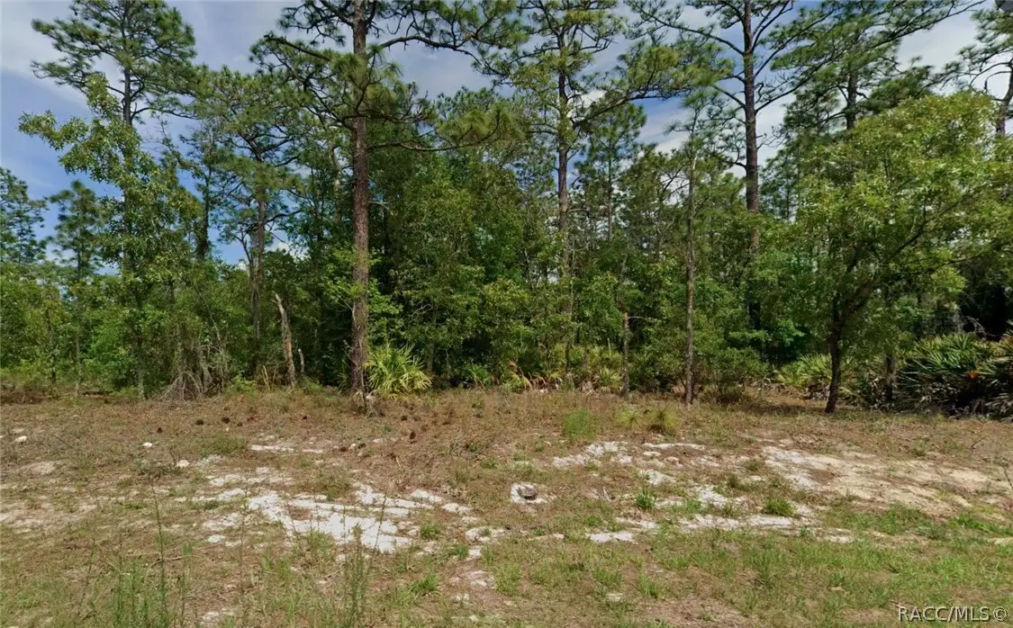 6977 N Foxdale Drive, Citrus Springs, FL 34434 - #1
