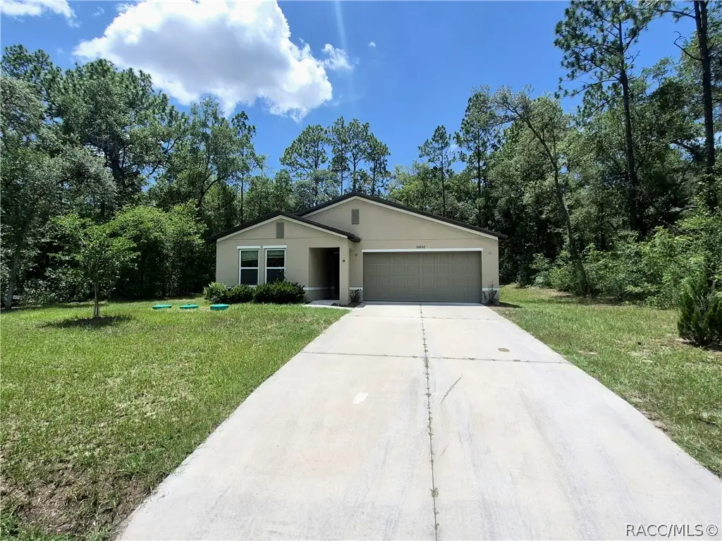 10802 N Haitian Drive, Citrus Springs, FL 34434 - #1