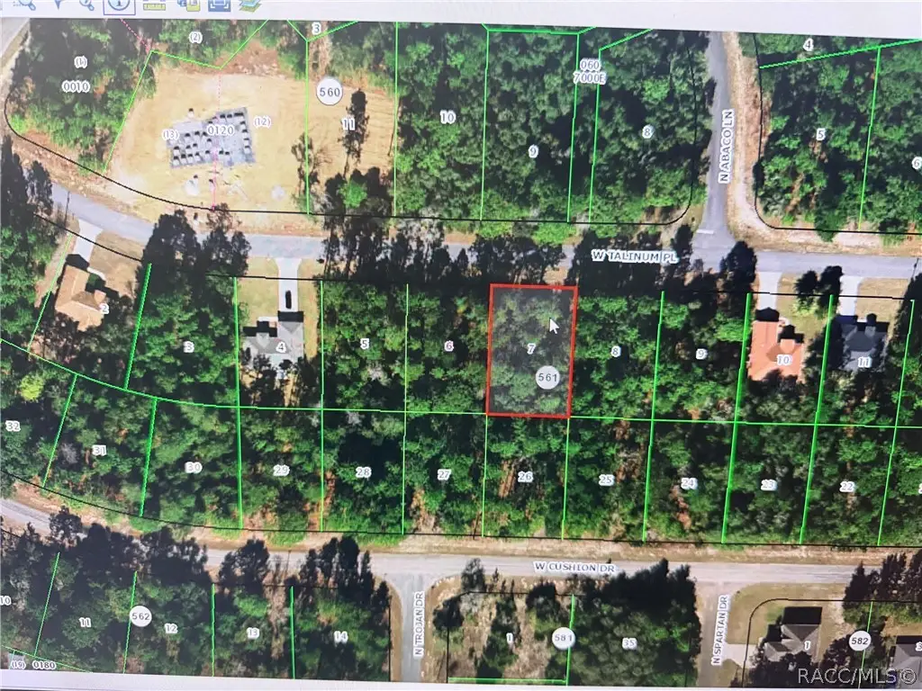 3328 W Talinum Place, Citrus Springs, FL 34433 - #1