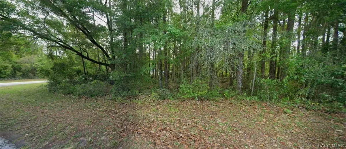 10181 N Gardner Way, Citrus Springs, FL 34434 - #1