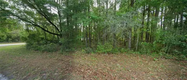 10181 N Gardner Way, Citrus Springs, FL 34434