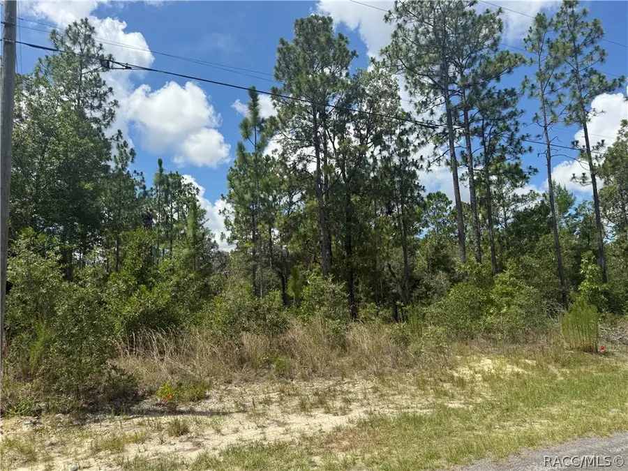 2812 W Edison Place, Citrus Springs, FL 34433 - #2