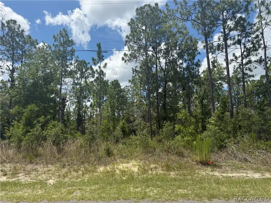 2812 W Edison Place, Citrus Springs, FL 34433 - #3
