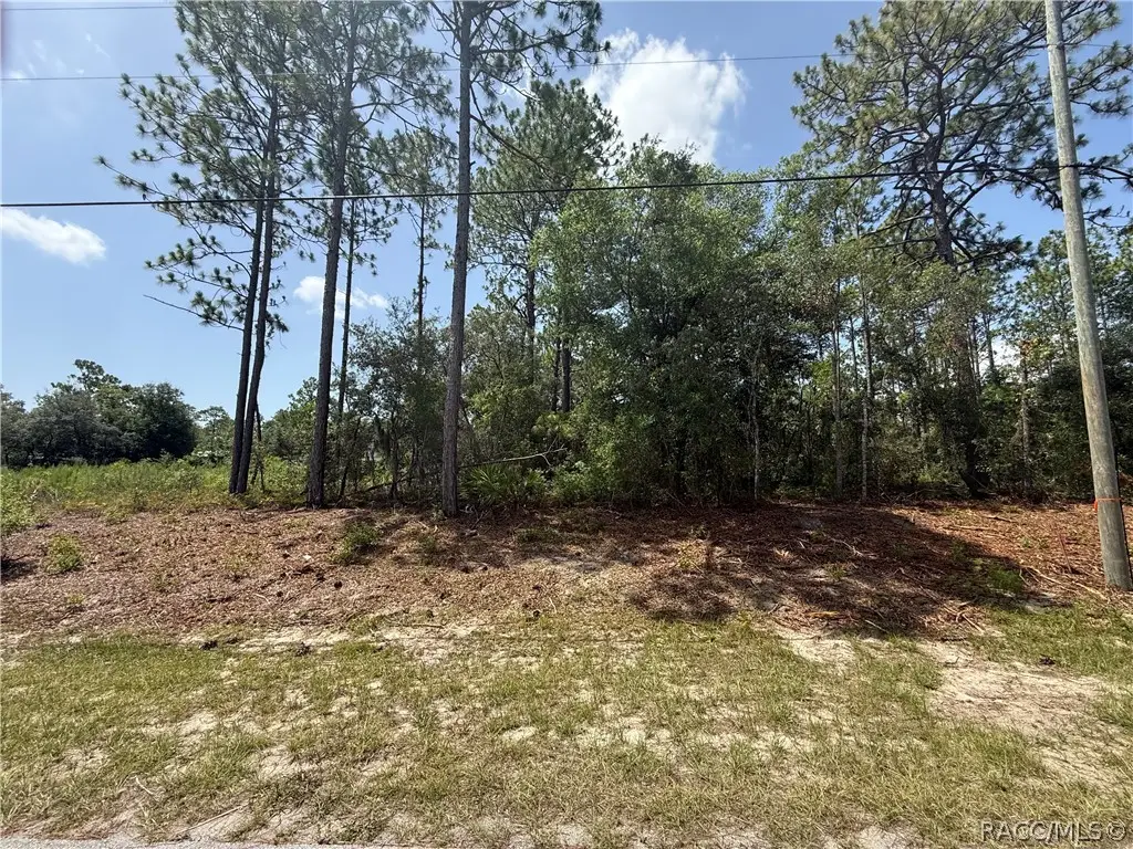 7069 N Santos Drive, Citrus Springs, FL 34434 - #1