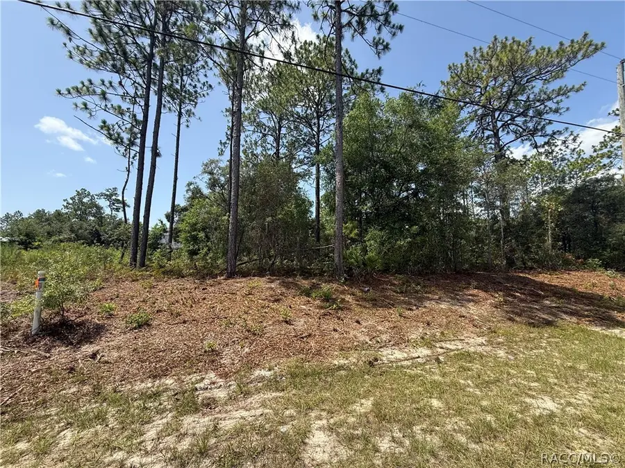 7069 N Santos Drive, Citrus Springs, FL 34434 - #2