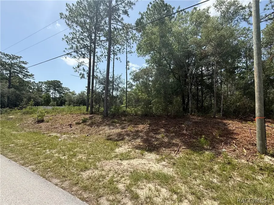 7069 N Santos Drive, Citrus Springs, FL 34434 - #3