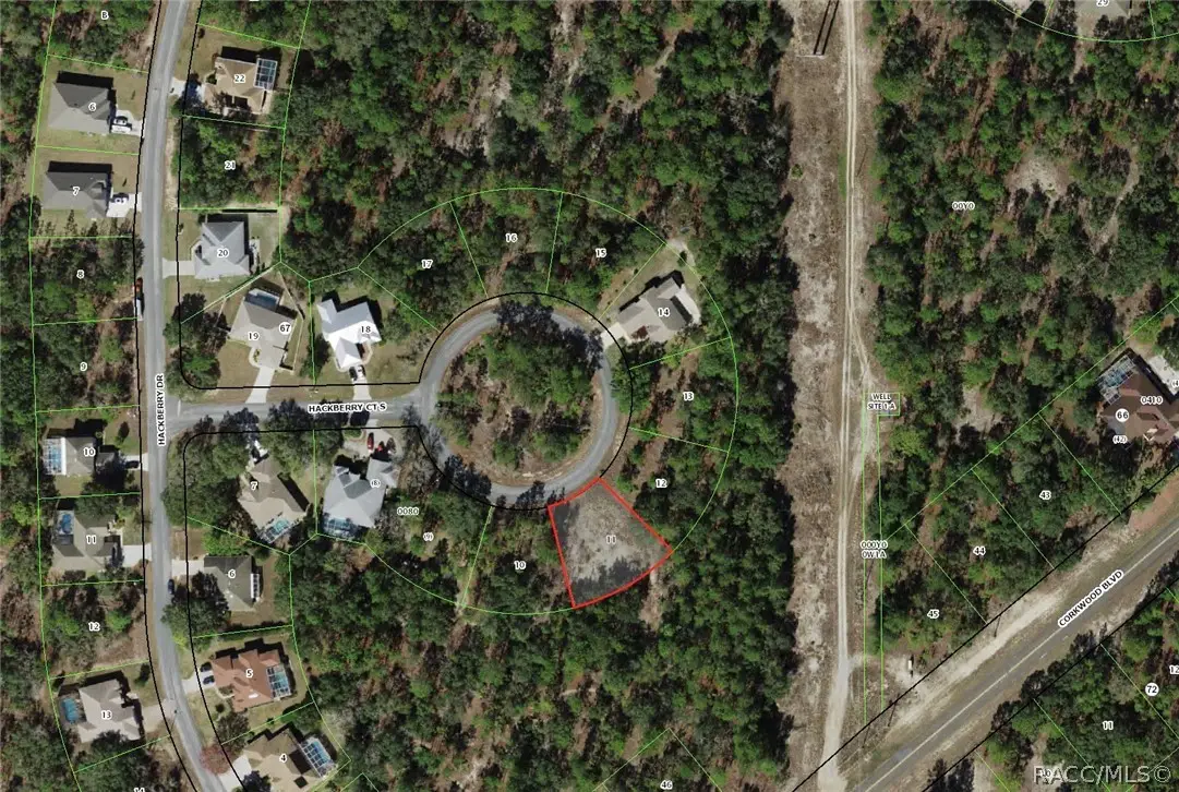 9 Hackberry Court S, Homosassa, FL 34446 - #1