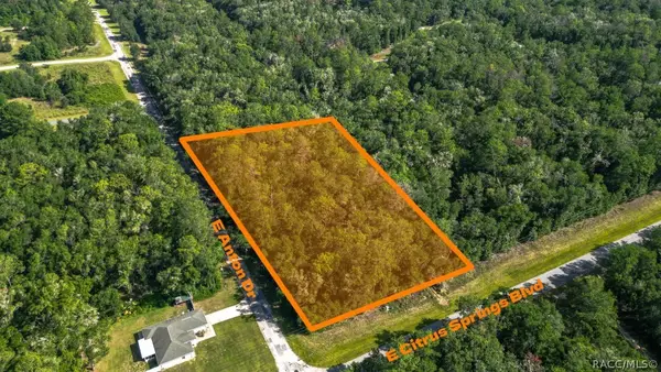 825 E Anton Drive, Citrus Springs, FL 34434