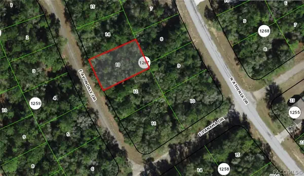 515 E Avondale Drive, Dunnellon, FL 34434