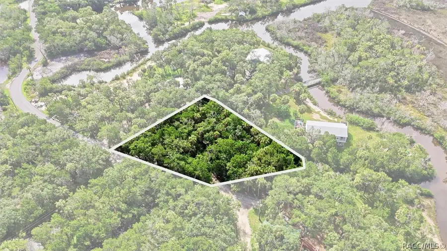 1114 S Urchin Point, Crystal River, FL 34429 - #2