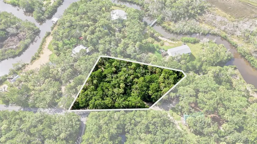 1114 S Urchin Point, Crystal River, FL 34429 - #3