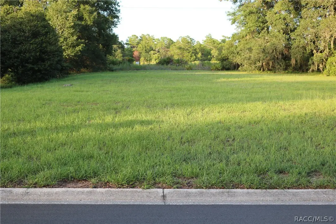 1697 N Wembley Drive, Crystal River, FL 34429 - #1