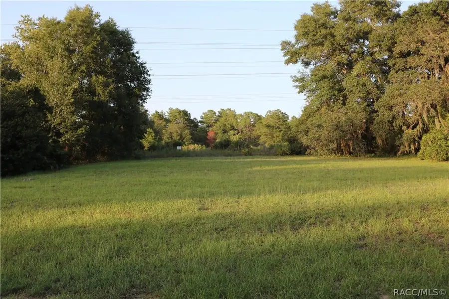 1697 N Wembley Drive, Crystal River, FL 34429 - #2