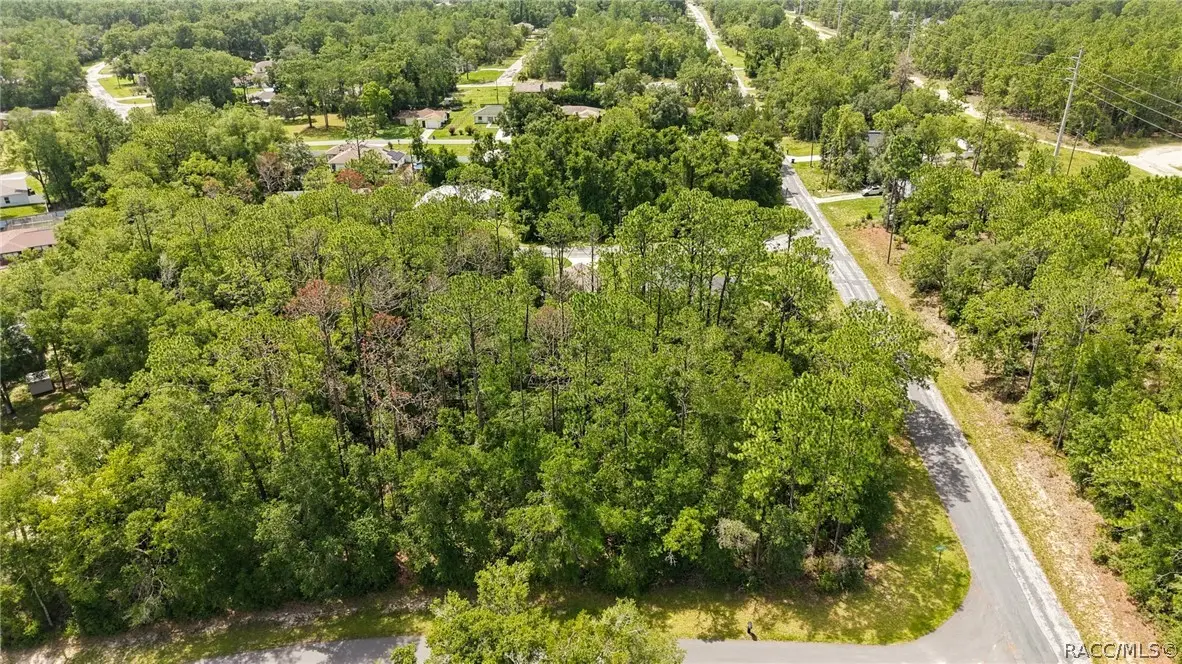 1320 W Sorrento Drive, Citrus Springs, FL 34434 - #1