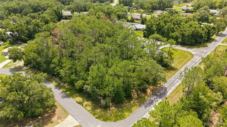1320 W Sorrento Drive, Citrus Springs, FL 34434 - #2