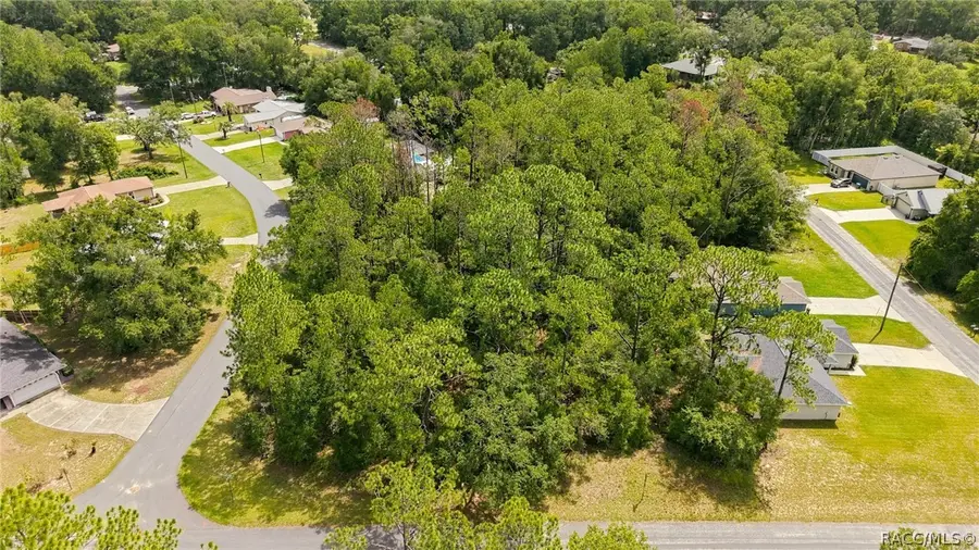 1320 W Sorrento Drive, Citrus Springs, FL 34434 - #3
