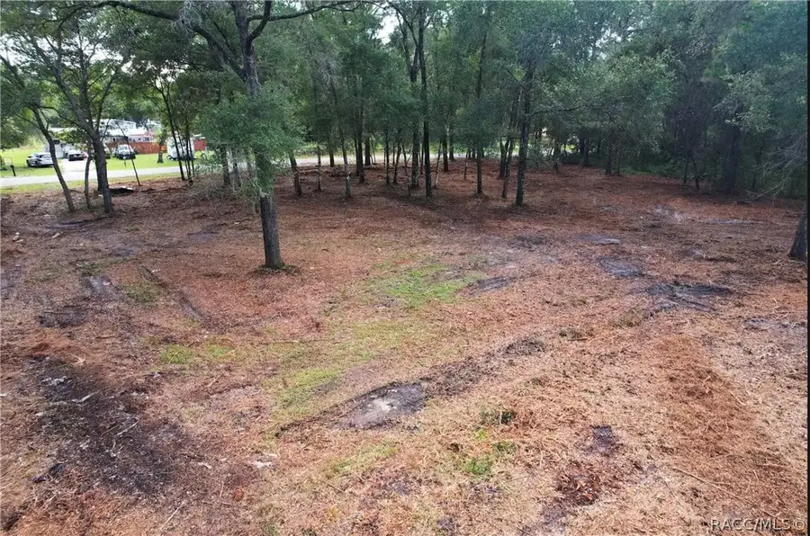 6777 N Castlebury Road, Hernando, FL 34442 - #2