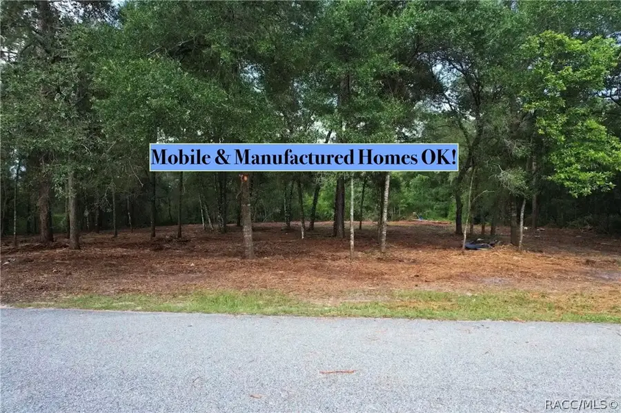 6777 N Castlebury Road, Hernando, FL 34442 - #3