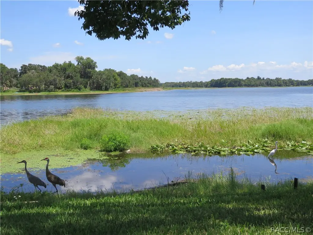 4014 E Lake Park Drive, Hernando, FL 34442 - #1