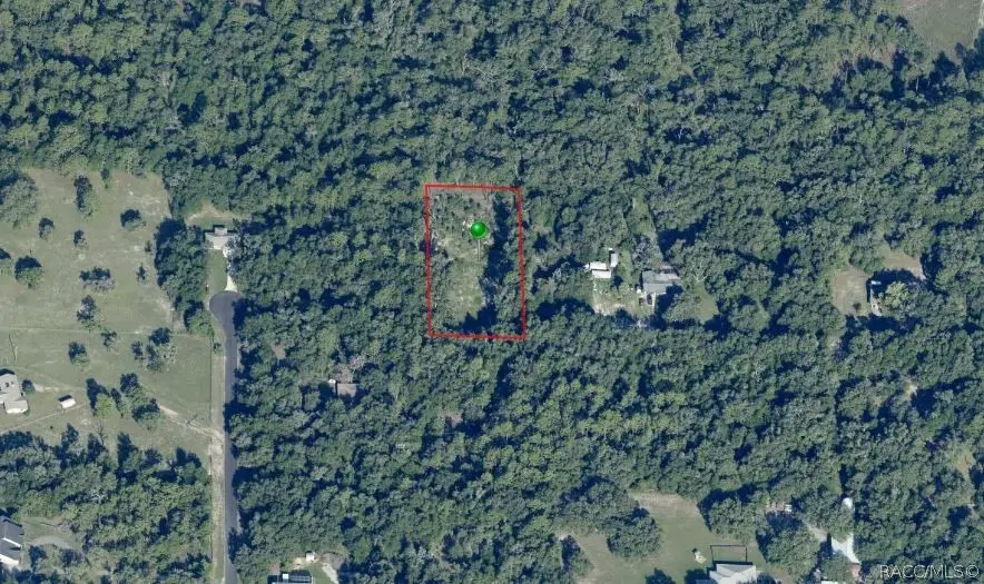 10228 N Burgundy Point, Dunnellon, FL 34433 - #1