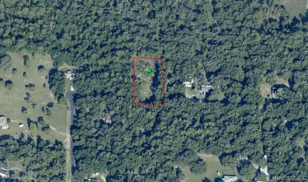 10228 N Burgundy Point, Dunnellon, FL 34433