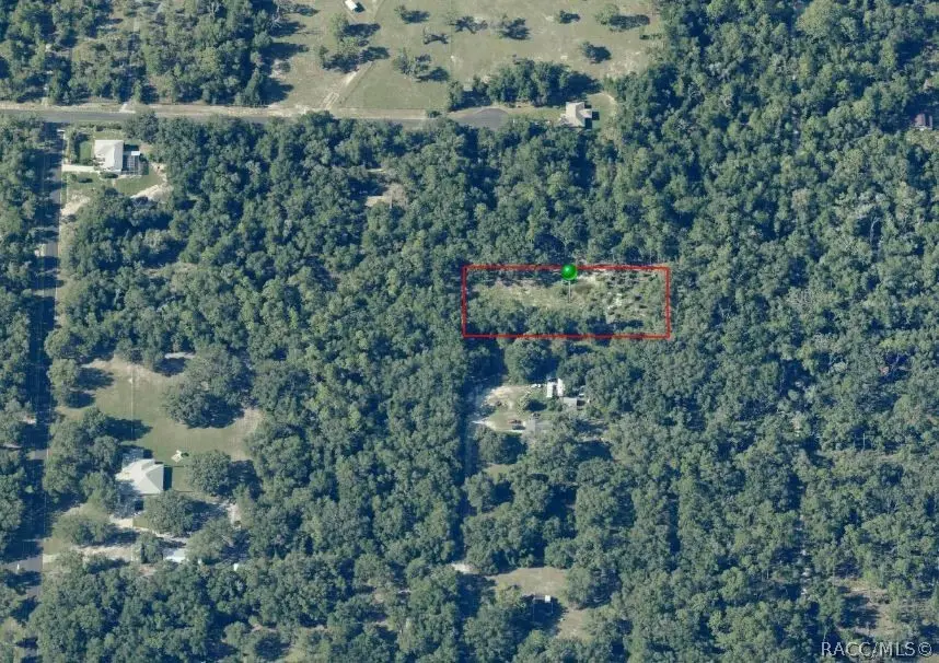 10228 N Burgundy Point, Dunnellon, FL 34433 - #2