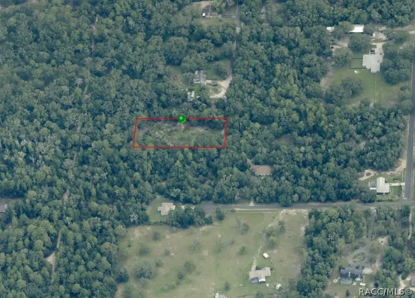 10228 N Burgundy Point, Dunnellon, FL 34433 - #3
