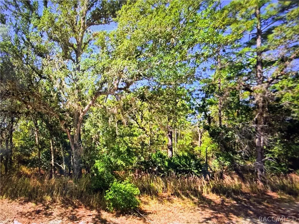 2722 W Pine Ridge Boulevard, Beverly Hills, FL 34465 - #1
