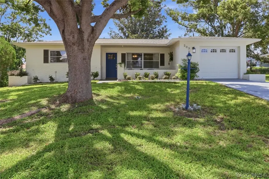 203 Lee Street, Beverly Hills, FL 34465 - #3