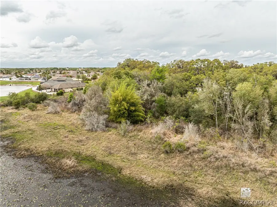 8769 E County Road 466 Road, Lady Lake, FL 32159 - #3
