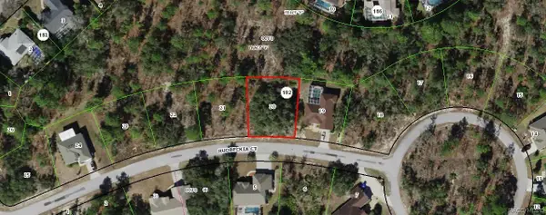 11 Rudbeckia Court, Homosassa, FL 34446