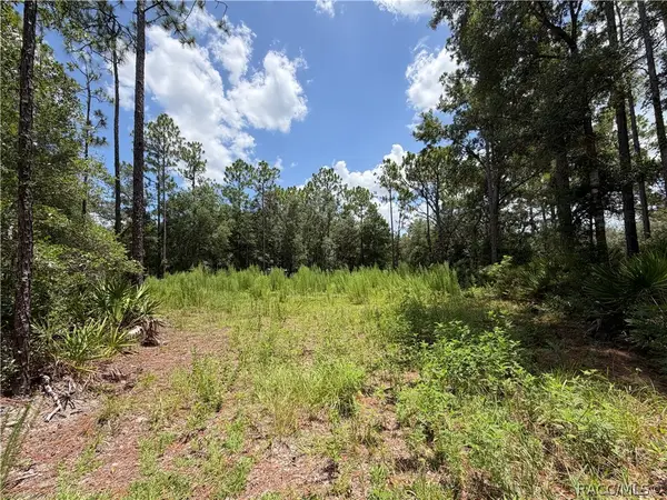 6712 W Macopin Lane, Crystal River, FL 34429