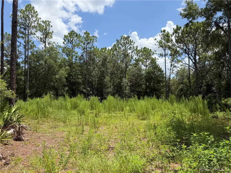 6712 W Macopin Lane, Crystal River, FL 34429 - #2