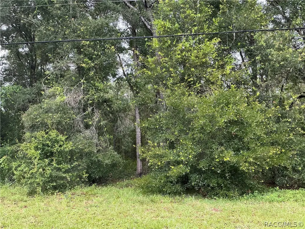 1235 E Bismark Street, Hernando, FL 34442 - #1